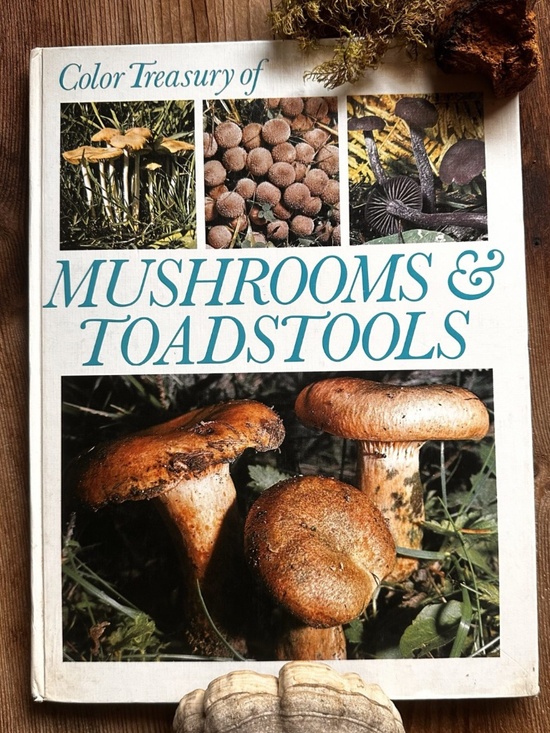 Other - Color Treasury of Mushrooms & Toadstools Vintage Hardcover Cottagecore Book
